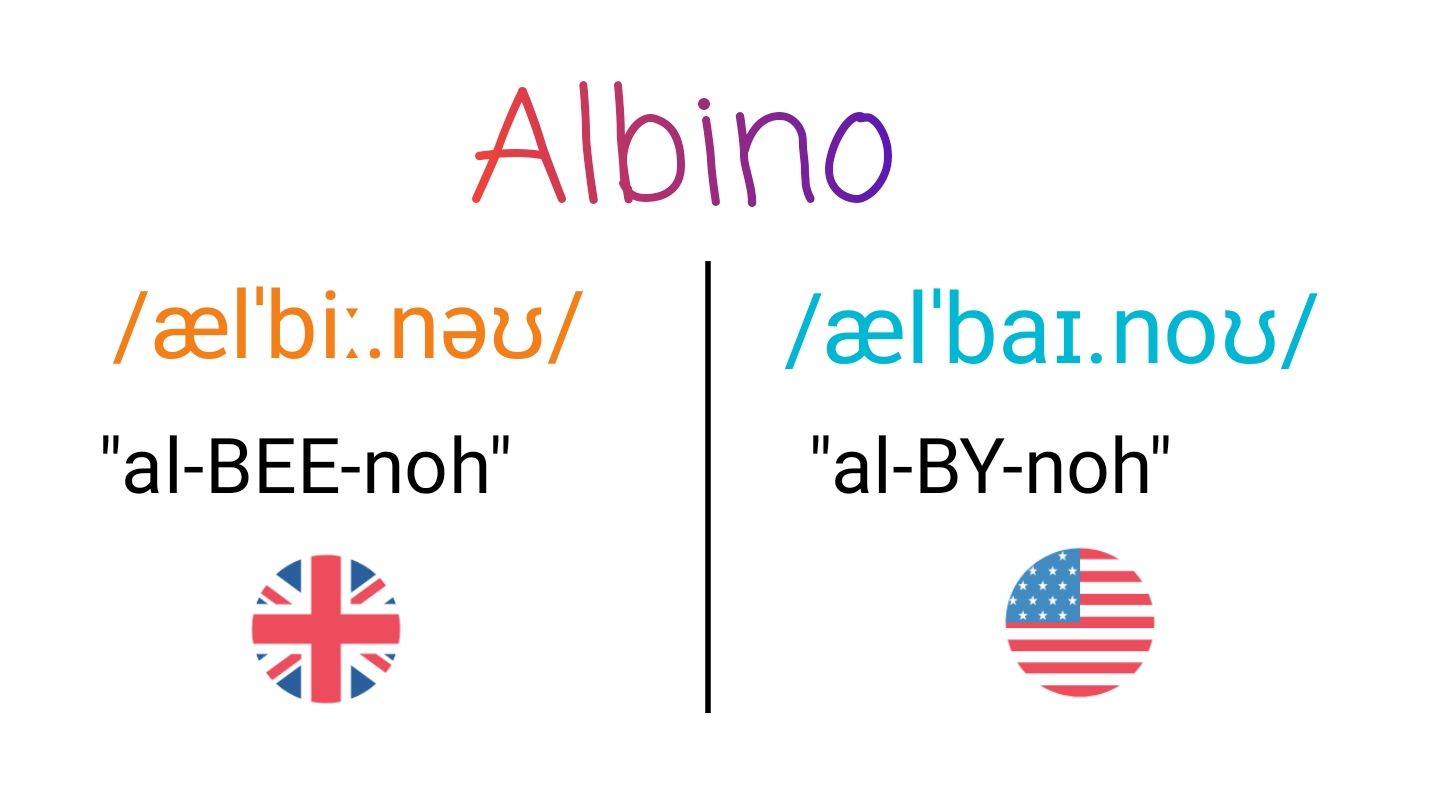 Albino IPA (key) in American English and British English.