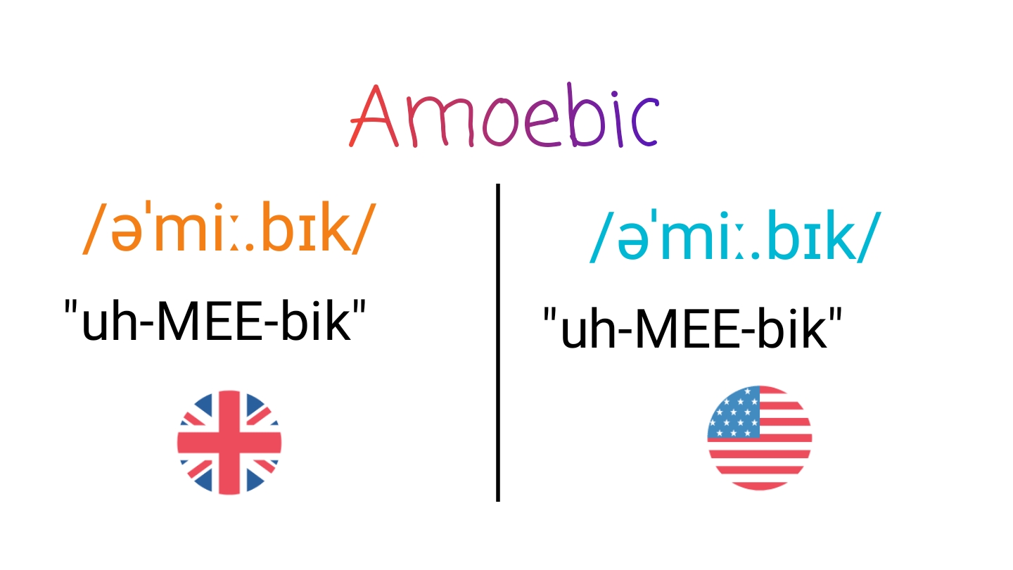 Amoebic IPA (key) in American English and British English.